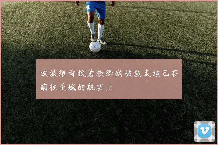 波波维奇故意激怒我被裁麦迪已在前往圣城的航班上